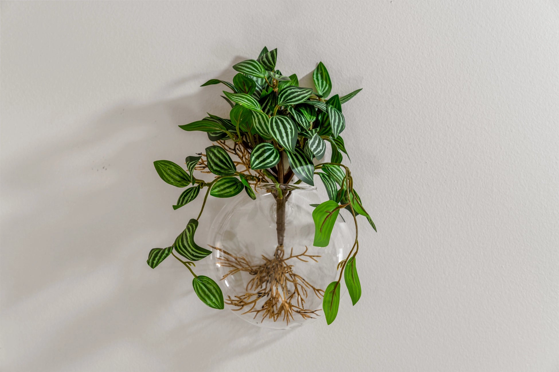 Airbnb Photography: Renovated STR Property in Teaneck, New Jersey