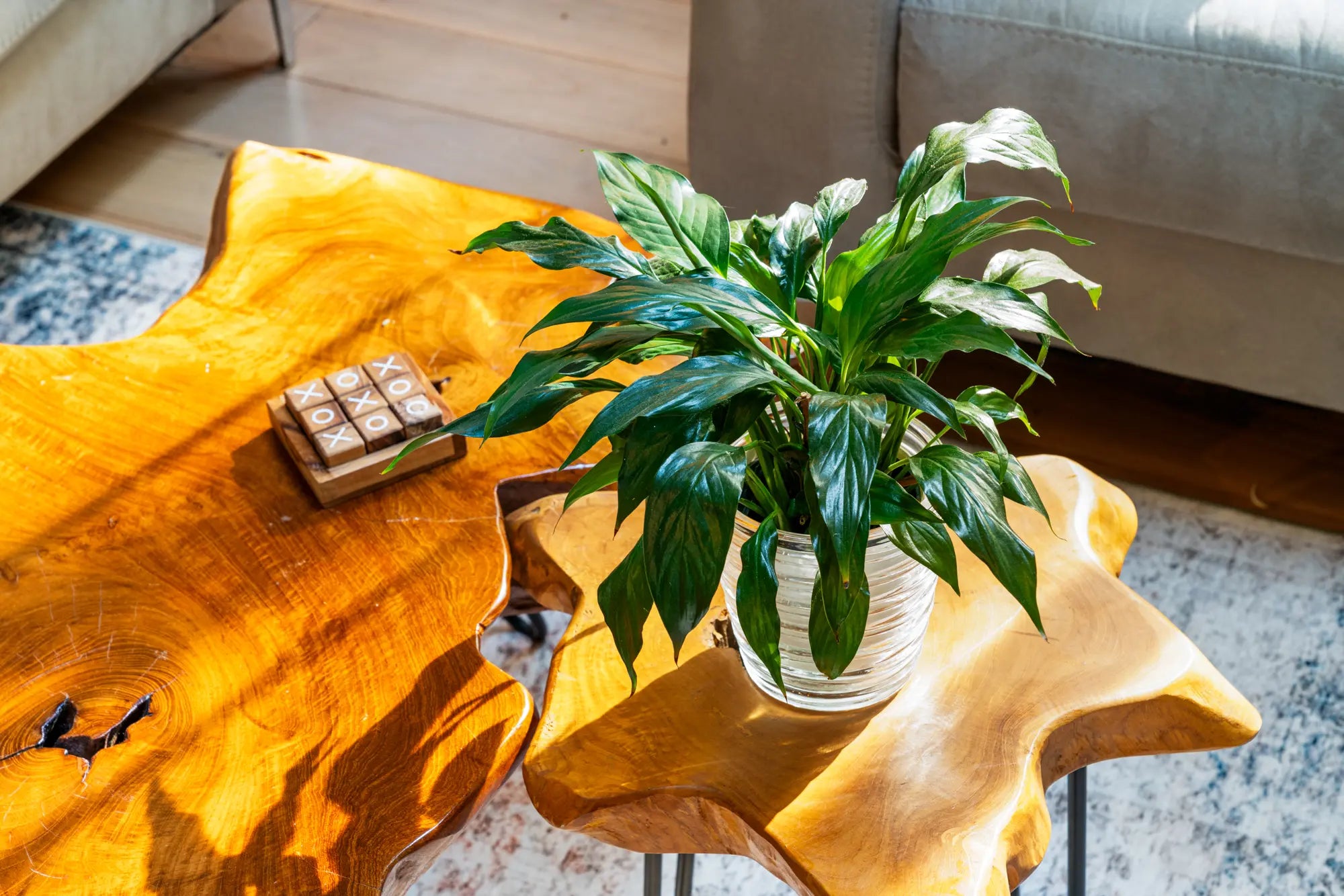 Airbnb Photography: Modern Rustic Retreat in Bushkill, PA